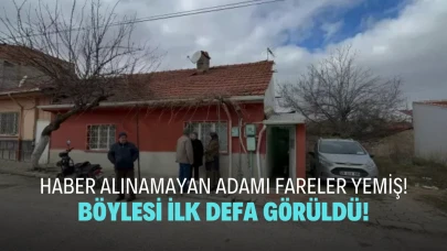Eskişehir'de 67 yaşındaki adamın cansız bedenini fareler yemiş!